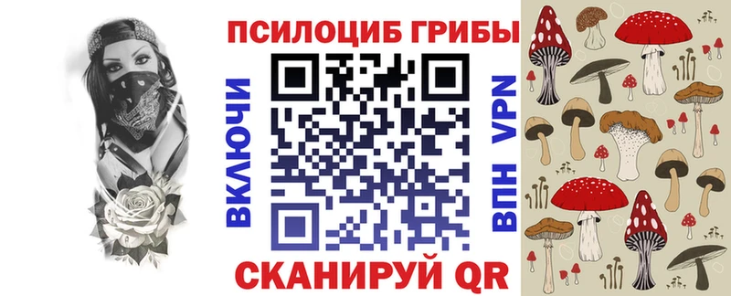 Псилоцибиновые грибы мицелий  купить наркотики сайты  Нижневартовск 