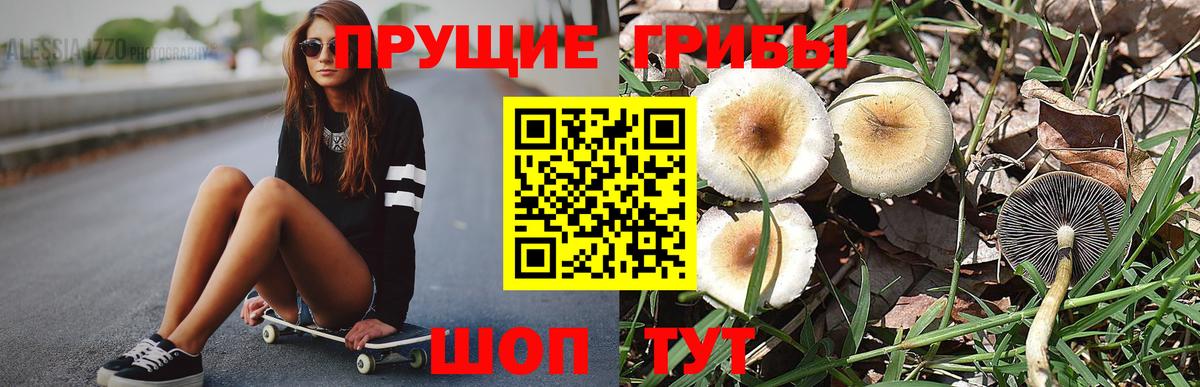 Псилоцибиновые грибы Cubensis  Вход с VPN  Галлюциногенные грибы Psilocybine cubensis  Нижневартовск 